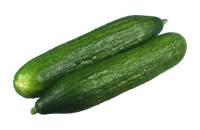 Cucumber